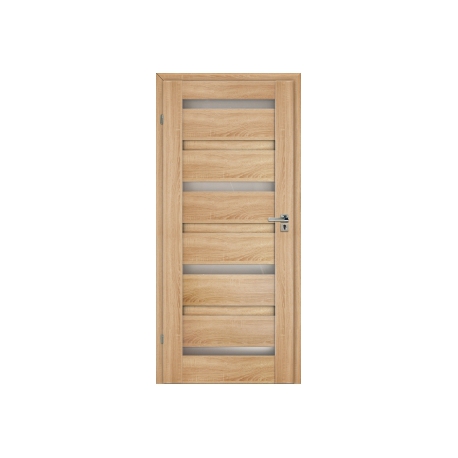 TERTIA 6