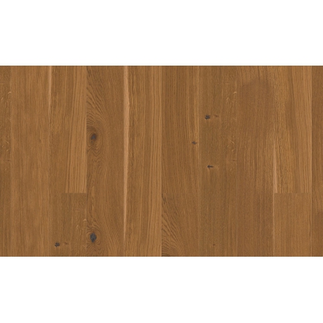 DĄB HONEY RUSTIC