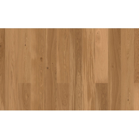 DĄB RUSTIC